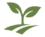 cropped pip logo 160 1.webp